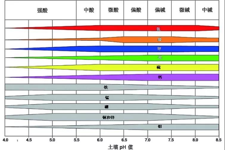 土壤PH速測儀，快速測PH