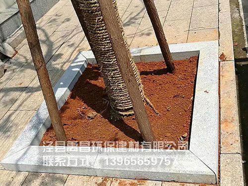 實(shí)景效果 實(shí)景效果